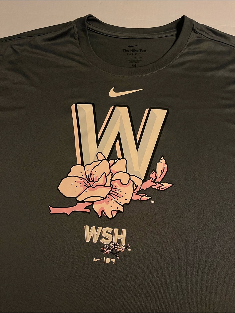 Nike Washington Nationals Nats MLB City Connect Cherry Blossom T-Shirt 2XL Gray